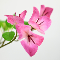 Tanaman Buatan Bunga Kertas Bougainvillea yang Berwarna-warni dengan Batang Simulasi Tinggi untuk Hotel, Lorong, Teras, Ruang Tamu.