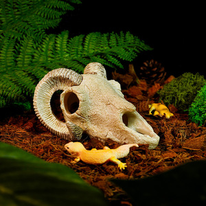Ustovian Nuevo Diseño PVC Cueva Escondite para <span class=keywords><strong>Reptiles</strong></span> con Forma <span class=keywords><strong>de</strong></span> Cuerno <span class=keywords><strong>de</strong></span> Cabra, Accesorio para Recinto <span class=keywords><strong>de</strong></span> Mascotas, <span class=keywords><strong>Esqueleto</strong></span> Decorativo para Terrario - Product Image 2