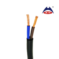 Kabel fleksibel ZR-RVV, 2 inti 4mm 6mm kabel fleksibel tahan api PVC inti tembaga berlapis untuk membangun industri untuk lanskap