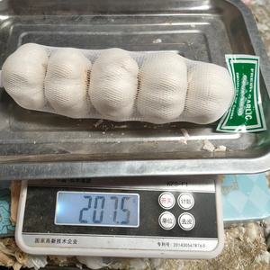 Taze sarımsak yeni mahsul beyaz sarımsak Ail tedarikçisi çin sarımsak fabrikası ile yüksek kalite - Product Image 4