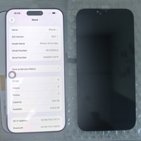 Pantalla Táctil LCD OLED de Repuesto de Color Real de 120Hz GS al por Mayor de Fábrica para 15 Pro Max con 1 Año de Garantía, Compatible, Sin Marco de Madera