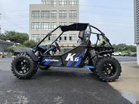 Kart cross personnalisé R5C 300CC 4 temps, suspension indépendante, transmission par chaîne, 2 places, essence, buggy tout-terrain