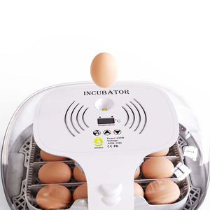 WONEGG Top Sale Round 16 Incubateurs à œufs Incubateurs automatiques Œufs à couver - Product Image 3