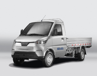 WVTA CEC RHD Coche Eléctrico Wuling Mini EV Pickup Furgoneta Eléctrica Pura Transporter 2 Asientos 60kw Camiones de Carga Vehículos de Nueva Energía