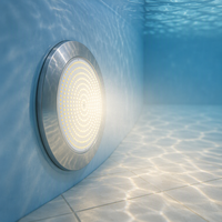 Projecteur LED pour piscine en acier inoxydable 316, éclairage subaquatique AC12V IP68 étanche 120 degrés 10W 24W 35W pour piscine liner OEM ODM