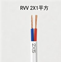 Câble électrique flexible RVV 2 conducteurs 1 mm² en cuivre, isolé et gainé en PVC