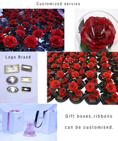 Cadeaux pour la Saint-Valentin, rose éternelle naturelle au toucher réel, longue durée, conservée dans un dôme en verre, roses éternelles en verre