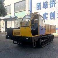 Mini Dumper Diesel sur chenilles de Chine, Mini Transporteur, Micro Dumper sur chenilles de 10 tonnes à vendre