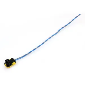 Vendita a tempo limitato assemblaggio Amphonel Automobile Yaris bobina pompa del carburante cavo filo veloce maschio 2 Pin Rj 45 connettori per autoveicoli