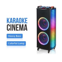 Altavoz de Karaoke NDR-1212S, Altavoces Grandes para Fiestas al Aire Libre, Altavoz con Micrófono y Bluetooth para el Hogar/Fiestas/Exterior