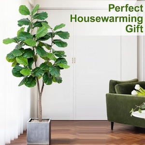 ต้นซอประดิษฐ์63ใบความสูง170ซม. ต้นไม้ในกระถางพลาสติกประดับพืชสีเขียวออกแบบได้ตามต้องการ - Product Image 5