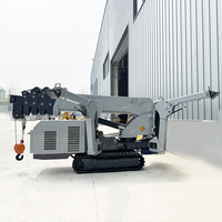 Grue mobile électrique et diesel Tonlita CE EPA EURO 5, petite grue araignée portable avec flèche de rehaussement et ventouse pour verre