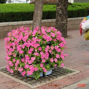 Jardinières verticales PP pour lampadaires verts - Product Image 6