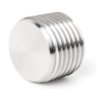 Bouchon de tuyau en acier inoxydable 304, douille hexagonale filetée BSP NPT 1/2/3, matériel industriel