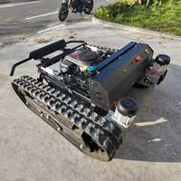 Tondeuse à gazon télécommandée homologuée CE EPA, moteur à essence puissant, tondeuse à gazon à chenilles à braquage zéro pour affronter la végétation dense