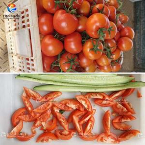 Máquina Segmentadora de Frutas Comercial VS-4 FENGXIANG, 2/4/6/8 Segmentos para Limón, Lima y Naranja, Acero Inoxidable Industrial - Product Image 3