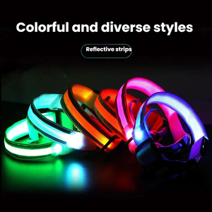 Collier <span class=keywords><strong>LED</strong></span> rechargeable par USB pour chien, lumineux, réfléchissant, anti-perte, pour la marche nocturne, accessoires pour animaux de compagnie pour grands chiens - Product Image 4