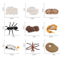 Modèle de Simulation du Cycle de la croissance des animaux, grenouille, tortue, moustique, coq, coq, Animal cognitif, jouet