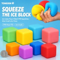 TONGXIN Bloc anti-stress personnalisé en TPR, en forme de bloc de glace, rempli de farine, à remontée lente, jouet de bureau, objet de collection, cadeau, vente en gros, OEM