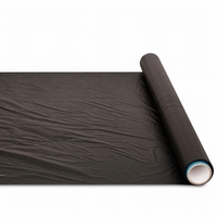 Trou de poinçon de paillis en plastique noir de protection UV pour le film de paillage de PE de ferme de myrtille agricole