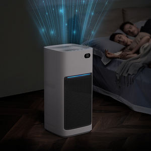 ขายส่งบ้านห้องพักขนาดใหญ่ H11กรองไอออนลบเครื่อง<span class=keywords><strong>ฟอก</strong></span><span class=keywords><strong>อากาศ</strong></span>ที่มีเด็กล็อค - Product Image 3