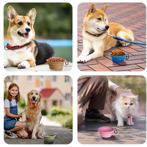 Bol pliable en silicone pour animaux de compagnie avec logo personnalisé, facile à nettoyer, pliable, pour chien, pour chiot, pour l'extérieur - Product Image 6