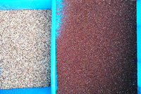 Machine de tri professionnelle des couleurs et des formes des grains, haute précision, équipement de tri commercial pour semences agricoles et arachides