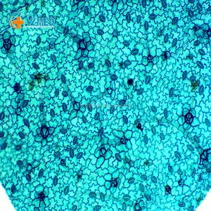 Thiết bị giảng dạy hóa sinh thực vật học mô phòng thí nghiệm chuẩn bị slide với kính hiển vi - Product Image 4