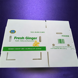 Stackable PP Hollow <b>Sheet</b> Corrugated Corflute Board Support Custom Shape for <b>Plastic</b> Storage Bin Fruit Container Packaging Box - Product Image 1