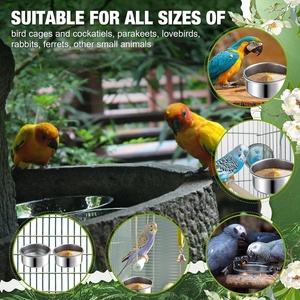 Offre Spéciale universel en acier inoxydable oiseaux alimentation tasses oiseaux nourriture plat eau <span class=keywords><strong>Cage</strong></span> bols <span class=keywords><strong>avec</strong></span> support de pince pour perroquet et oiseaux de compagnie - Product Image 2
