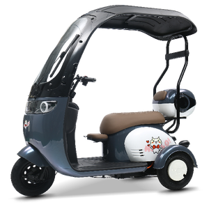 Nuevo Estilo, Hecho en China, Scooter de Alta Calidad, Triciclo de Gran Espacio, Triciclo de Tres Ruedas con Neumáticos Anchos y Techo - Product Image 1
