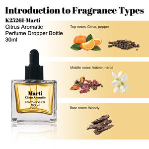 Vente en gros de nouveaux parfums pour hommes personnalisés, 30 ml, <span class=keywords><strong>parfum</strong></span> boisé aromatique aux agrumes, huile de <span class=keywords><strong>parfum</strong></span> à pipette - Product Image 3