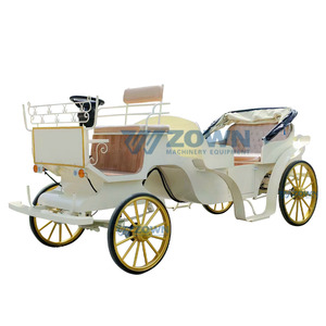 ZOWN Elegante Vehículo Eléctrico de Turismo de 4 Filas y 4 Asientos con Garantía de 2 Años - Product Image 1
