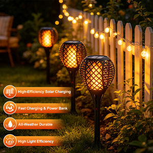 CE ROHS Certification Factory Price Wholesale ABS PC Ip65 Waterproof 3W Lawn Light Smart LED Solar Garden Light