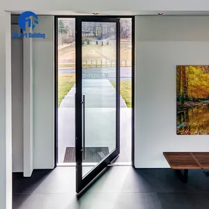 DS Customized Modern Residential Tempered Glass Double Glass External Pivot Doors Glass Exterior Entry Doors