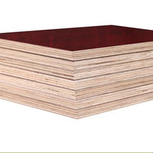Cina lavorazione del legno di alta qualità legno duro eucalipto pellicola rivestita in compensato cassaforma in calcestruzzo - Product Image 2