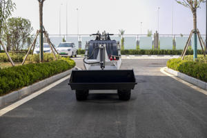 खेत और बगीचे के लिए गैसोलीन इंजन के साथ गर्म बिक्री से अनुमोदित मिनी स्किड स्टीड लोडर - Product Image 5