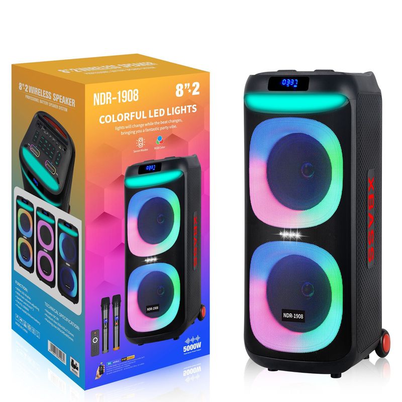 Portable 8 inch Dual Wireless Microphone