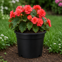 Pots de fleurs en plastique PP noir de 1 à 25 gallons pour pépinières, fabriqués par des usines OEM/ODM, durables, légers, avec trou de drainage pour jardin intérieur/extérieur