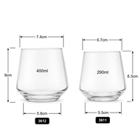 Verre d'hydratation professionnel pour bureau, tasse de réunion exécutive, gobelet VIP pour salon d'affaires, souvenir d'entreprise pour récompenses d'entreprise 10oz
