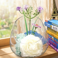 Vase en verre borosilicate à bouche oblique décoratif moderne pour plantes succulentes