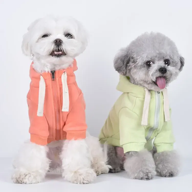 猫と犬のためのカジュアルな春の広告秋のマカロンカラーフード付きペットセーター