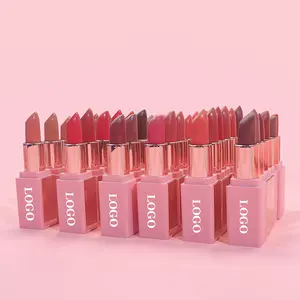 Bán buôn New Nude sáng bóng Lip Stick Nhà cung cấp nhãn hiệu riêng không thấm nước màu hồng Matte Kem Son môi