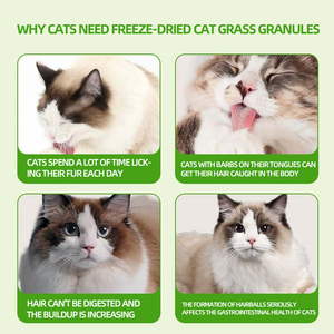 Snack <span class=keywords><strong>per</strong></span> Animali Domestici Direttamente dalla Fabbrica, Deliziosi Bocconcini Liofilizzati di Erba <span class=keywords><strong>per</strong></span> Gatti, Snack Sani <span class=keywords><strong>per</strong></span> <span class=keywords><strong>Cani</strong></span> e Gatti, <span class=keywords><strong>Cibo</strong></span> Naturale Nutriente - Product Image 3