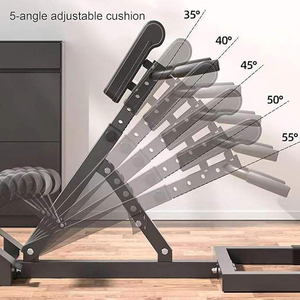 CZFIT Multifunctional Metal Roman Chair with Mechanical Foldable <b>Dumbbell</b> Trainer Home Fitness Sit-Ups Abdominal Exercises - Product Image 6