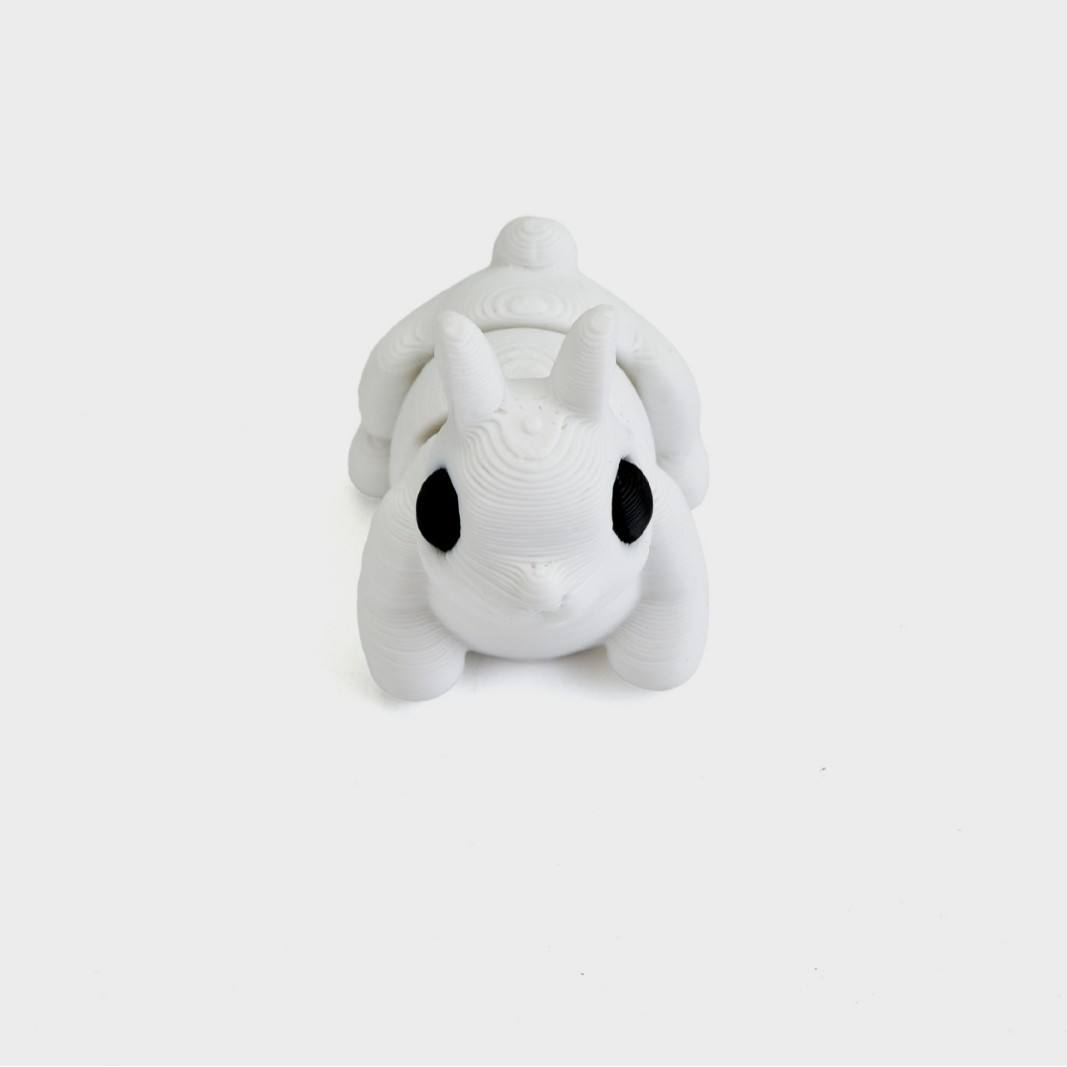 กระต่าย