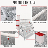 Cage à poules pondeuses de type A HK, 4 niveaux, 4 portes, pour poulaillers et fermes avicoles