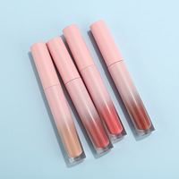 Rouge à lèvres liquide minéral mat haute pigmentation, waterproof, longue tenue, fin, effet brumeux, créatif, doux, naturel, brillant, gloss à lèvres, marque privée