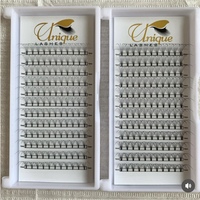 Fournisseur de cils : Cils préfabriqués en éventail effet œil de chat, volume court, 0.07 0.10mm, courbures C D CC DD, 2D 3D 4D 5D 6D 7D 10D