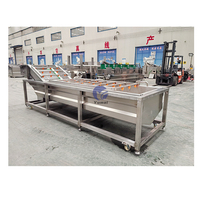 Multifunctionele Date Jujube Orange Dragon Fruit en Groente Bubble Wasmachine in Ecuador